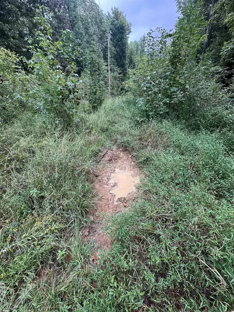 000 Nc 167, Jasper, AR 72641 photo 29