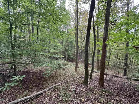 000 Nc 167, Jasper, AR 72641 photo 17