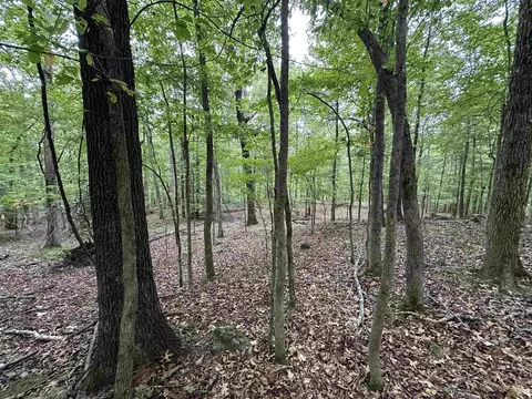 000 Nc 167, Jasper, AR 72641 photo 35