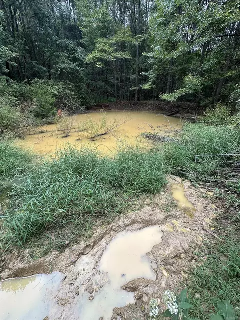 000 Nc 167, Jasper, AR 72641 photo 33