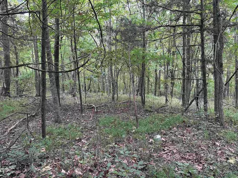 000 Nc 167, Jasper, AR 72641 photo 13