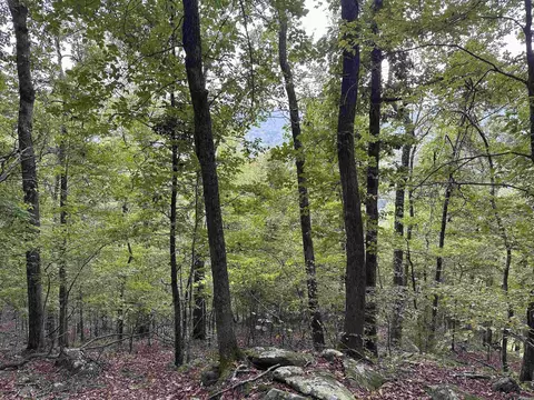 000 Nc 167, Jasper, AR 72641 photo 19