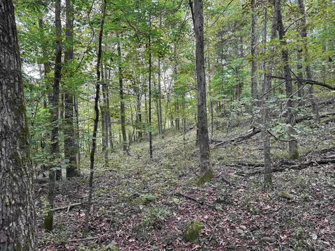 000 Nc 167, Jasper, AR 72641 photo 14