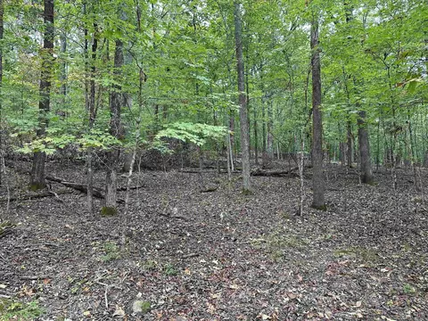 000 Nc 167, Jasper, AR 72641 photo 22