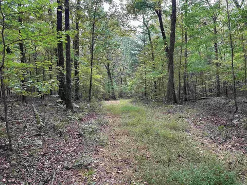 000 Nc 167, Jasper, AR 72641 photo 10