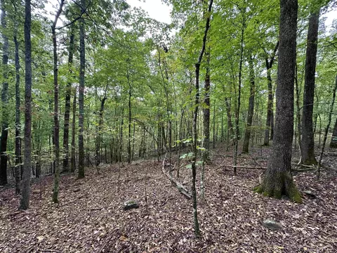 000 Nc 167, Jasper, AR 72641 photo 25