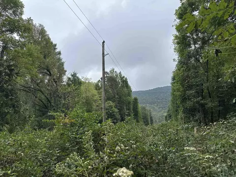 000 Nc 167, Jasper, AR 72641 photo 12