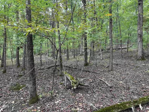 000 Nc 167, Jasper, AR 72641 photo 23