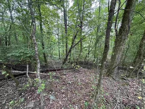 000 Nc 167, Jasper, AR 72641 photo 27