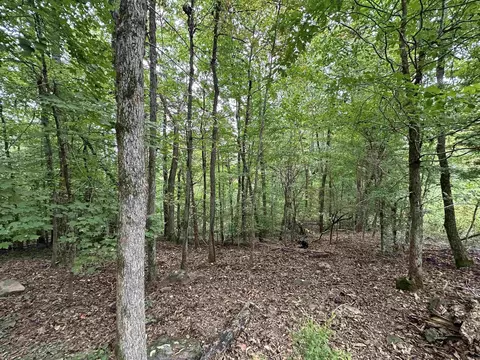 000 Nc 167, Jasper, AR 72641 photo 28