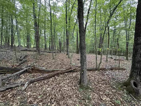 000 Nc 167, Jasper, AR 72641 photo 34