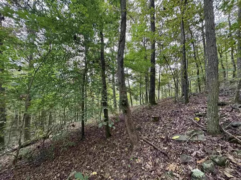 000 Nc 167, Jasper, AR 72641 photo 16