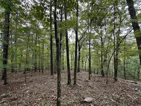 000 Nc 167, Jasper, AR 72641 photo 20