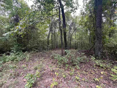 1688 Peyton Mountain Rd, Dennard, AR 72629 photo 11