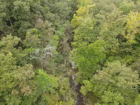 1688 Peyton Mountain Rd, Dennard, AR 72629 photo 17