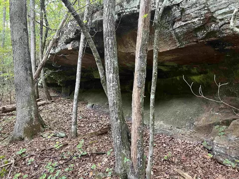 1688 Peyton Mountain Rd, Dennard, AR 72629 photo 6