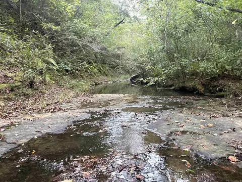 1688 Peyton Mountain Rd, Dennard, AR 72629 photo 12