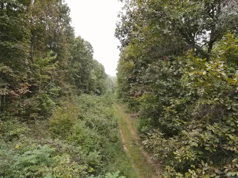 1688 Peyton Mountain Rd, Dennard, AR 72629 photo 7