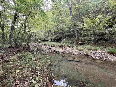 1688 Peyton Mountain Rd, Dennard, AR 72629 photo 8