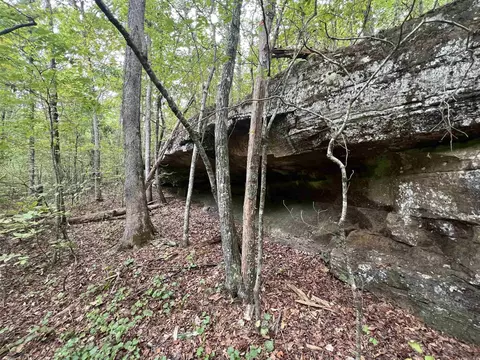 1688 Peyton Mountain Rd, Dennard, AR 72629 photo 16