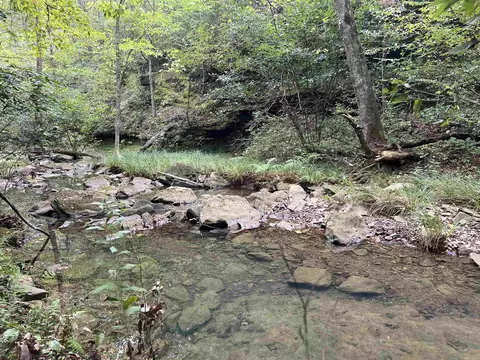 1688 Peyton Mountain Rd, Dennard, AR 72629 photo 15