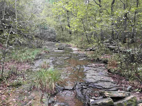 1688 Peyton Mountain Rd, Dennard, AR 72629 photo 14