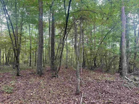 1688 Peyton Mountain Rd, Dennard, AR 72629 photo 4