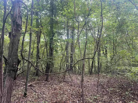 1688 Peyton Mountain Rd, Dennard, AR 72629 photo 9