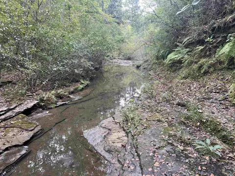 1688 Peyton Mountain Rd, Dennard, AR 72629 photo 2
