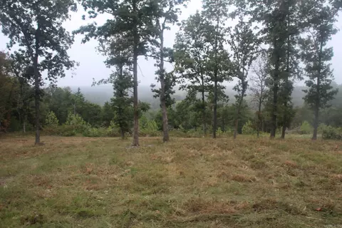131 Mc 5039, Valley Springs, AR 72682