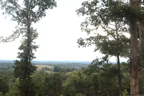 131 Mc 5039, Valley Springs, AR 72682