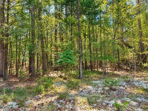 tbd Manfred Rd, Norman, AR 71960 photo 6