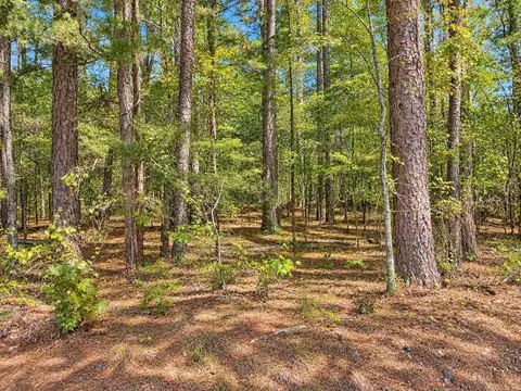 tbd Manfred Rd, Norman, AR 71960 photo 8