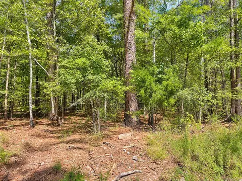 tbd Manfred Rd, Norman, AR 71960 photo 7
