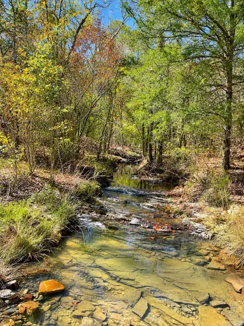 tbd Manfred Rd, Norman, AR 71960 photo 4