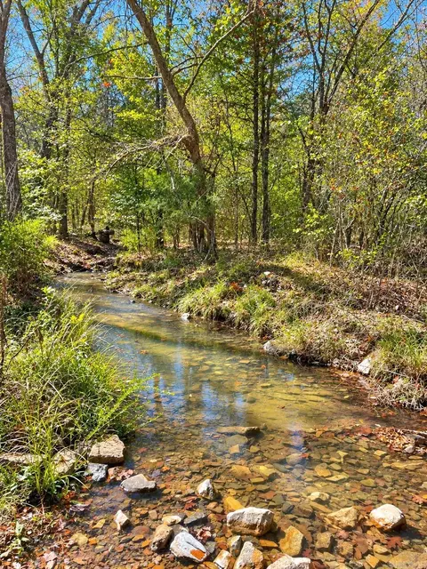 tbd Manfred Rd, Norman, AR 71960 photo 5