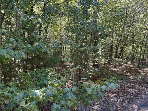 5 Ballobar Cir, Hot Springs Village, AR 71909