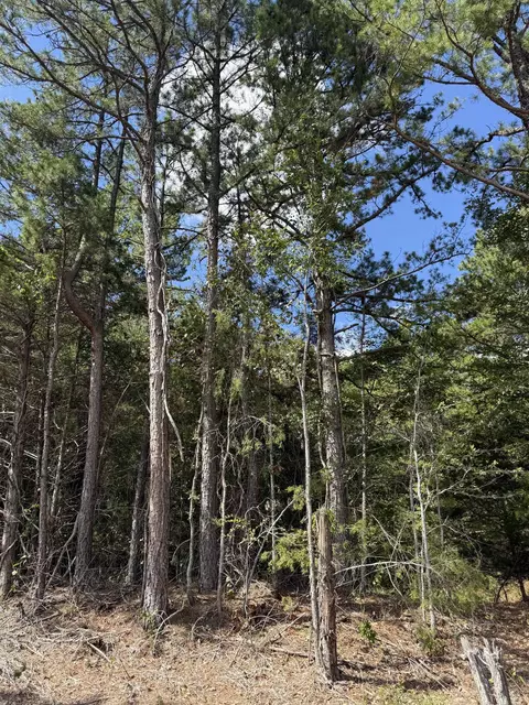 1 County Road 149 # A, Elizabeth, AR 72531