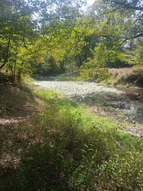 33 00 Acres Hwy 270, Poyen, AR 72128