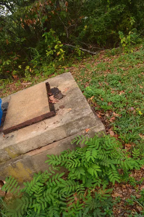 Other - 109 Treetop Rd, Marshall, AR 72650 photo 4 of 9