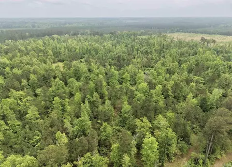 View/Area - 2061 Grant 16, Grapevine, AR 72057 photo 5 of 7