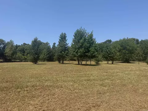 169 Alydar Trl, Hot Springs, AR 71913
