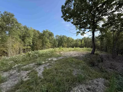 4036 Lake Norrell Rd, Alexander, AR 72002 photo 8