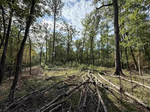4036 Lake Norrell Rd, Alexander, AR 72002 photo 7