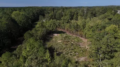 4036 Lake Norrell Rd, Alexander, AR 72002 photo 5