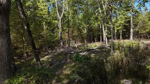 4036 Lake Norrell Rd, Alexander, AR 72002 photo 6