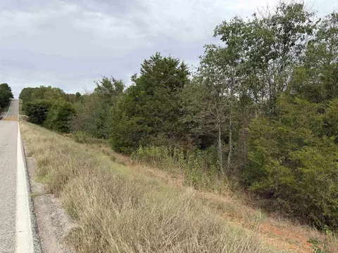 tbd N Hwy 289, Ash Flat, AR 72513 photo 1