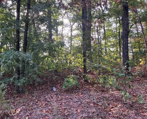 lot S 11-15 Tucker Rd, Hardy, AR 72542