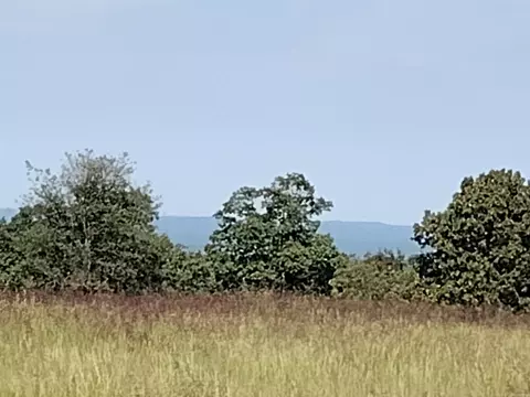 0 Toad Hollow Rd, Mountain View, AR 72560