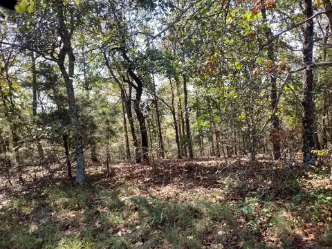 0 Toad Hollow Rd, Mountain View, AR 72560 photo 11